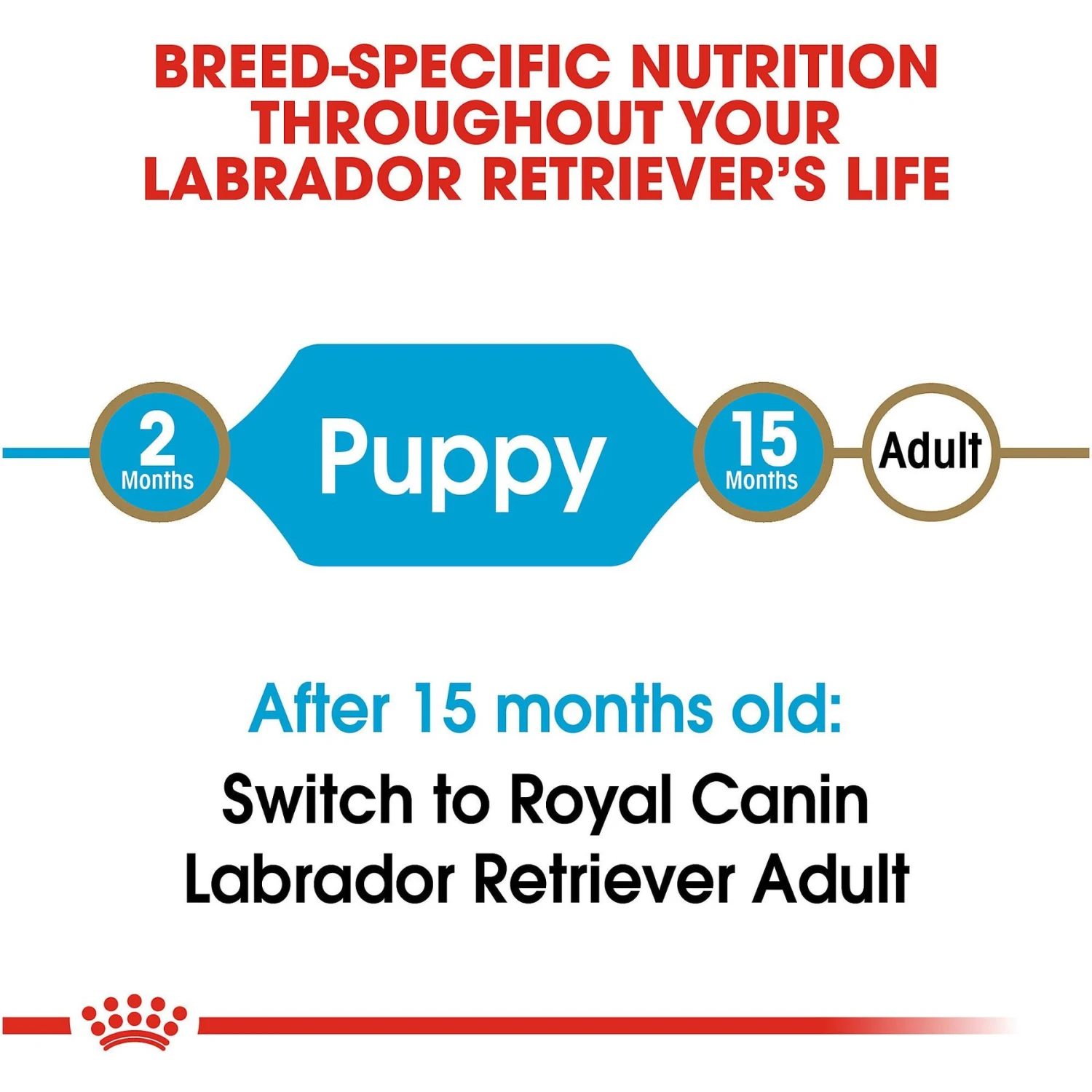 Royal Canin Breed Health Nutrition Labrador Retriever Puppy Dry Dog Food 10 Royal Canin Breed Health Nutrition Labrador Retriever Puppy Dry Dog Food - Image 8