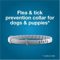 Seresto Flea & Tick Collar For Dogs, Over 18 Lbs -Snuggle Paws 61519 PT3. AC SS1800 V1683653594