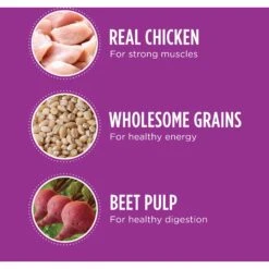 Iams Proactive Health Healthy Aging Large Breed Mature & Senior Formula With Real Chicken Dry Dog Food -Snuggle Paws 61752 PT2. AC SS1800 V1668024168