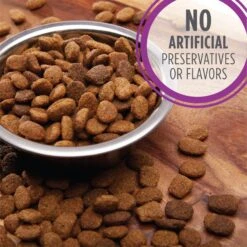 Iams Proactive Health Healthy Aging Large Breed Mature & Senior Formula With Real Chicken Dry Dog Food -Snuggle Paws 61752 PT3. AC SS1800 V1668024638