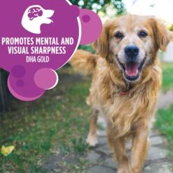 Iams Proactive Health Healthy Aging Large Breed Mature & Senior Formula With Real Chicken Dry Dog Food -Snuggle Paws 61752 PT4. AC SS1800 V1668023589