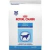 Royal Canin Veterinary Diet Adult Large Dog Dry Dog Food -Snuggle Paws 61785. AC SS1800 V1460478784