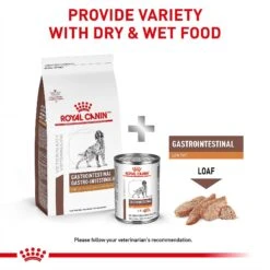 Royal Canin Veterinary Diet Adult Gastrointestinal Low Fat Loaf Canned Dog Food -Snuggle Paws 61822 PT5. AC SS1800 V1701366036