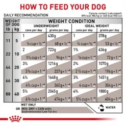 Royal Canin Veterinary Diet Adult Gastrointestinal Low Fat Loaf Canned Dog Food -Snuggle Paws 61822 PT7. AC SS1800 V1701366036