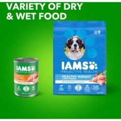 Iams Proactive Health Healthy Weight Management Large Breed Low Fat Formula With Real Chicken Adult Dry Dog Food -Snuggle Paws 62261 PT8. AC SS1800 V1667863606
