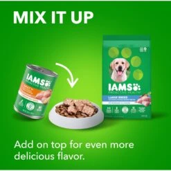 Iams Proactive Health Large Breed With Real Chicken Adult Dry Dog Food 19 Iams Proactive Health Large Breed With Real Chicken Adult Dry Dog Food -Snuggle Paws 62299 PT8. AC SS1800 V1667864274