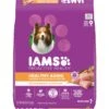 Iams Proactive Health Healthy Aging Mature & Senior Formula With Real Chicken Dry Dog Food -Snuggle Paws 62805 MAIN. AC SS1800 V1667865534