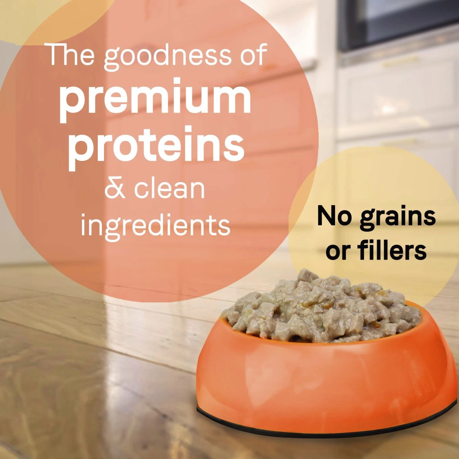 CANIDAE PURE Petite All Stages Small Breed Cacciatore Style Dinner With Lamb & Carrots Wet Dog Food Trays, 3.5-oz, Case Of 12 & CANIDAE PURE Petite All Stages Small Breed Escalloped Style Dinner With Salmon & Shrimp Wet Dog Food Trays, 3.5-oz, Case Of 12 11 CANIDAE PURE Petite All Stages Small Breed Cacciatore Style Dinner With Lamb & Carrots Wet Dog Food Trays, 3.5-oz, Case Of 12 & CANIDAE PURE Petite All Stages Small Breed Escalloped Style Dinner With Salmon & Shrimp Wet Dog Food Trays, 3.5-oz, Case Of 12 - Image 9