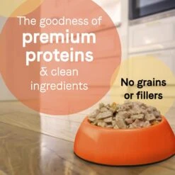 CANIDAE PURE Petite All Stages Small Breed Escalloped Style Dinner With Salmon & Shrimp Wet Dog Food Trays, 3.5-oz, Case Of 12 & CANIDAE PURE Petite All Stages Small Breed Fricassee Style Dinner With Turkey & Green Beans Wet Dog Food Trays, 3.5-oz, Case Of 12 -Snuggle Paws 632502 PT8. AC SS1800 V1663608071