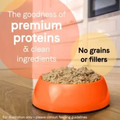 CANIDAE PURE All Stages Grain-Free Limited Ingredient Duck & Turkey Recipe Canned Dog Food, 13-oz & CANIDAE PURE All Stages Grain-Free Limited Ingredient Lamb, Turkey & Chicken Recipe Canned Dog Food, 13-oz -Snuggle Paws 632534 PT3. AC SS1800 V1663605474
