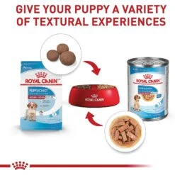 Royal Canin Size Health Nutrition Medium Puppy Dry Dog Food 16 Royal Canin Size Health Nutrition Medium Puppy Dry Dog Food -Snuggle Paws 63266 PT5. AC SS1800 V1697213803
