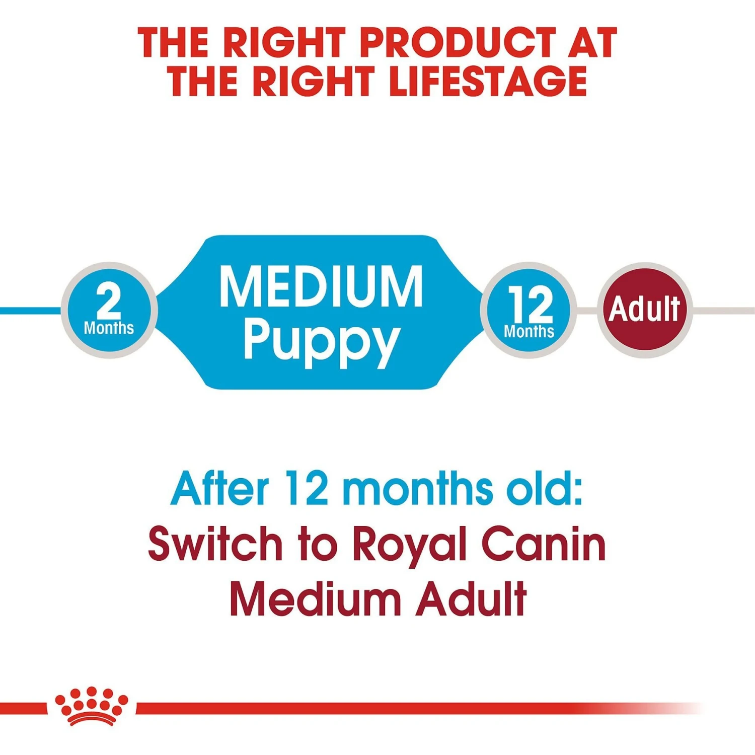 Royal Canin Size Health Nutrition Medium Puppy Dry Dog Food 9 Royal Canin Size Health Nutrition Medium Puppy Dry Dog Food - Image 7