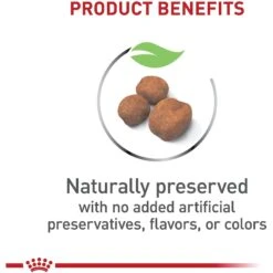 Royal Canin Size Health Nutrition Giant Puppy Dry Dog Food -Snuggle Paws 63276 PT3. AC SS1800 V1697213744