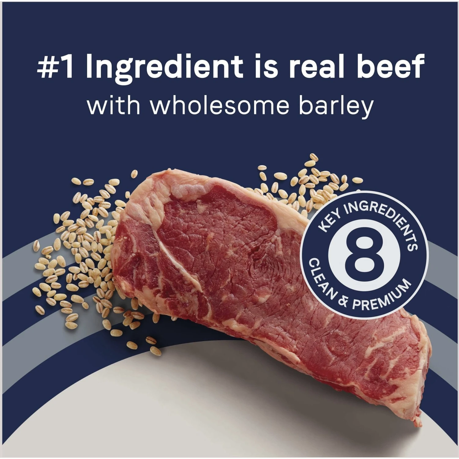 CANIDAE PURE With Wholesome Grains Real Beef & Barley Recipe Adult Dry Dog Food & CANIDAE PURE With Wholesome Grains Real Salmon & Barley Recipe Adult Dry Dog Food 7 CANIDAE PURE With Wholesome Grains Real Beef & Barley Recipe Adult Dry Dog Food & CANIDAE PURE With Wholesome Grains Real Salmon & Barley Recipe Adult Dry Dog Food - Image 5