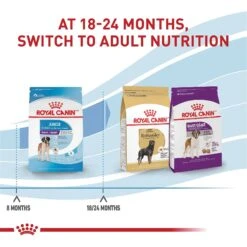 Royal Canin Size Health Nutrition Giant Junior Dry Dog Food 16 Royal Canin Size Health Nutrition Giant Junior Dry Dog Food -Snuggle Paws 63278 PT7. AC SS1800 V1697213773