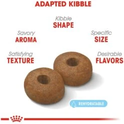 Royal Canin Size Health Nutrition Large Aging 8+ Dry Dog Food 14 Royal Canin Size Health Nutrition Large Aging 8+ Dry Dog Food -Snuggle Paws 63298 PT3. AC SS1800 V1697212396