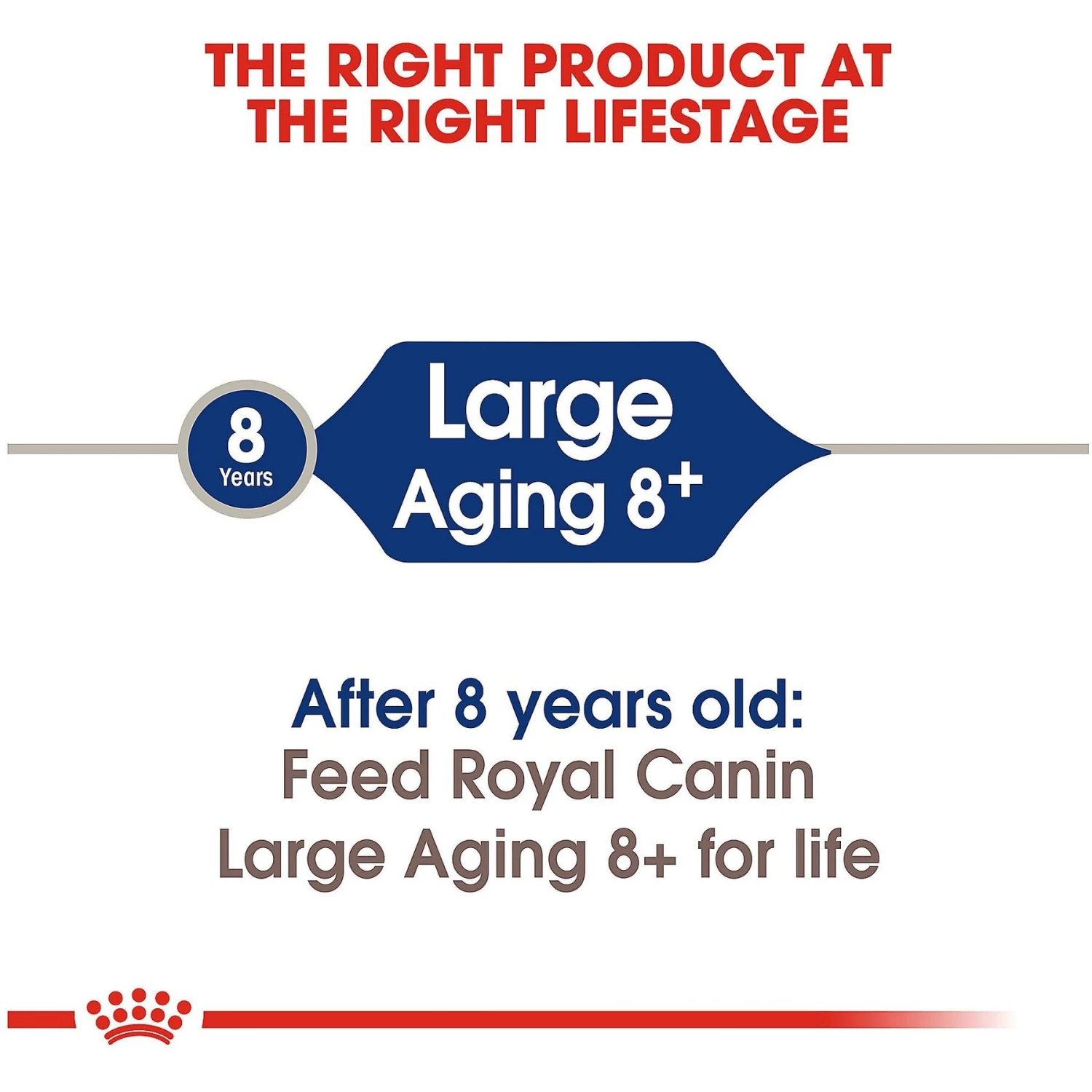 Royal Canin Size Health Nutrition Large Aging 8+ Dry Dog Food 9 Royal Canin Size Health Nutrition Large Aging 8+ Dry Dog Food - Image 7