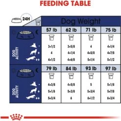 Royal Canin Size Health Nutrition Large Aging 8+ Dry Dog Food 19 Royal Canin Size Health Nutrition Large Aging 8+ Dry Dog Food -Snuggle Paws 63298 PT8. AC SS1800 V1697212824