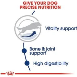 Royal Canin Size Health Nutrition Large Adult 5+ Dry Dog Food 15 Royal Canin Size Health Nutrition Large Adult 5+ Dry Dog Food -Snuggle Paws 63336 PT4. AC SS1800 V1697761639