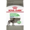 Royal Canin Canine Care Nutrition Large Digestive Care Dry Dog Food -Snuggle Paws 63354 MAIN. AC SS1800 V1697139146