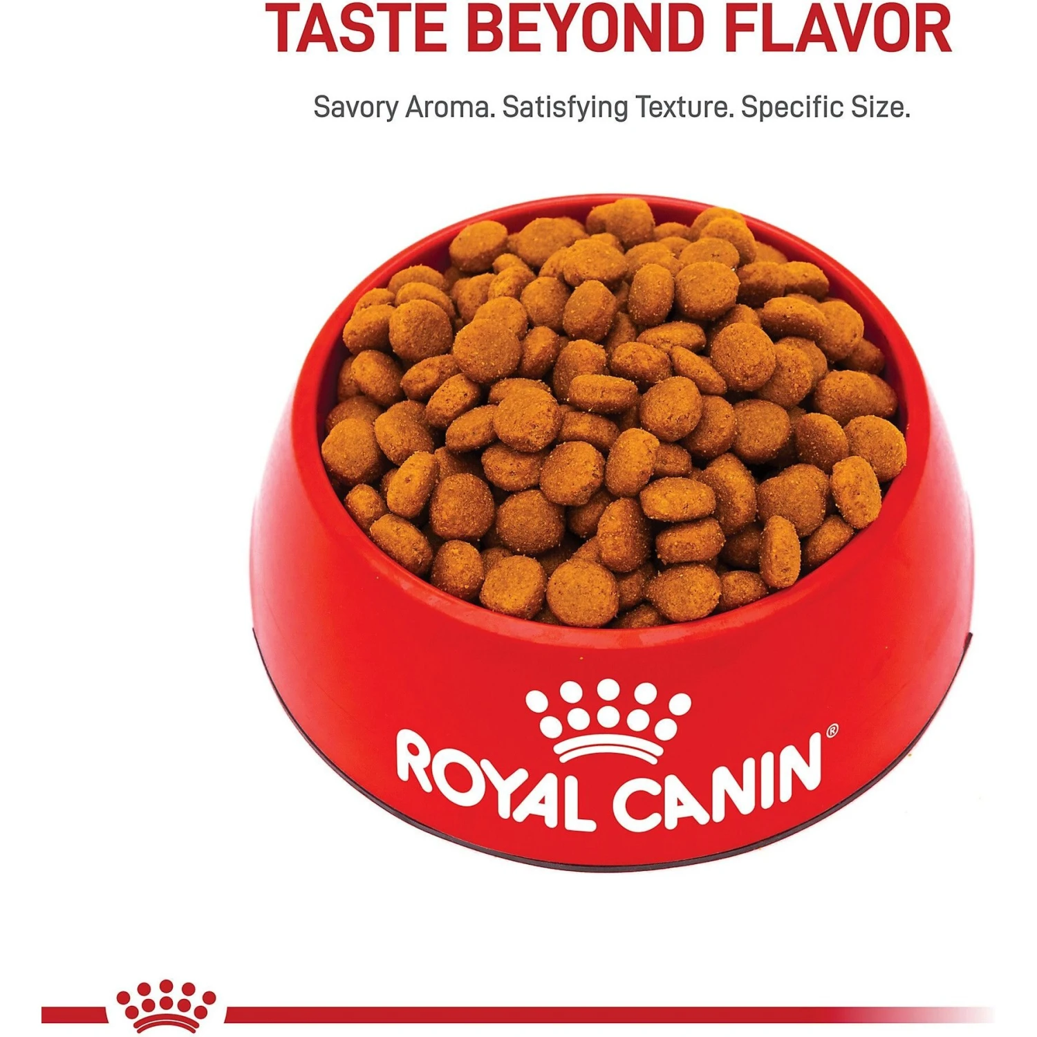 Royal Canin Canine Care Nutrition Large Digestive Care Dry Dog Food 4 Royal Canin Canine Care Nutrition Large Digestive Care Dry Dog Food - Image 2