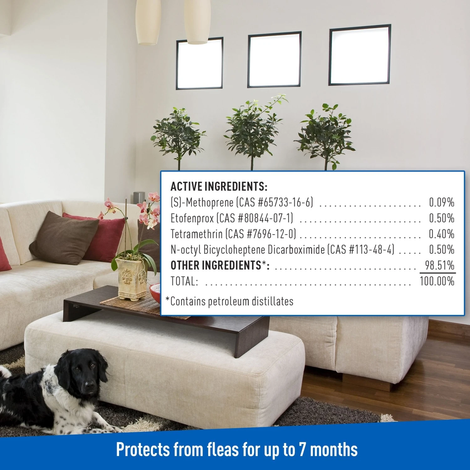 Adams® Adams Flea & Tick Carpet Powder + 2 Items 9 Adams® Adams Flea & Tick Carpet Powder + 2 Items - Image 7