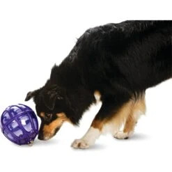 PetSafe Busy Buddy Kibble Nibble Treat Dispenser Dog Toy -Snuggle Paws 63854 PT2. AC SS1800 V1602289560
