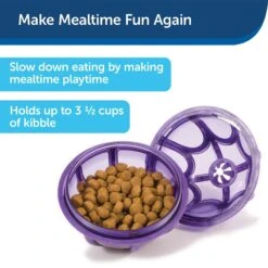 PetSafe Busy Buddy Kibble Nibble Treat Dispenser Dog Toy -Snuggle Paws 63854 PT7. AC SS1800 V1602328559