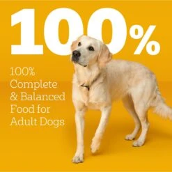 Pedigree With MarroBites Steak & Vegetable Flavor Pieces Adult Dry Dog Food, 36-lb Bag 17 Pedigree With MarroBites Steak & Vegetable Flavor Pieces Adult Dry Dog Food, 36-lb Bag -Snuggle Paws 639222 PT8. AC SS1800 V1662501294