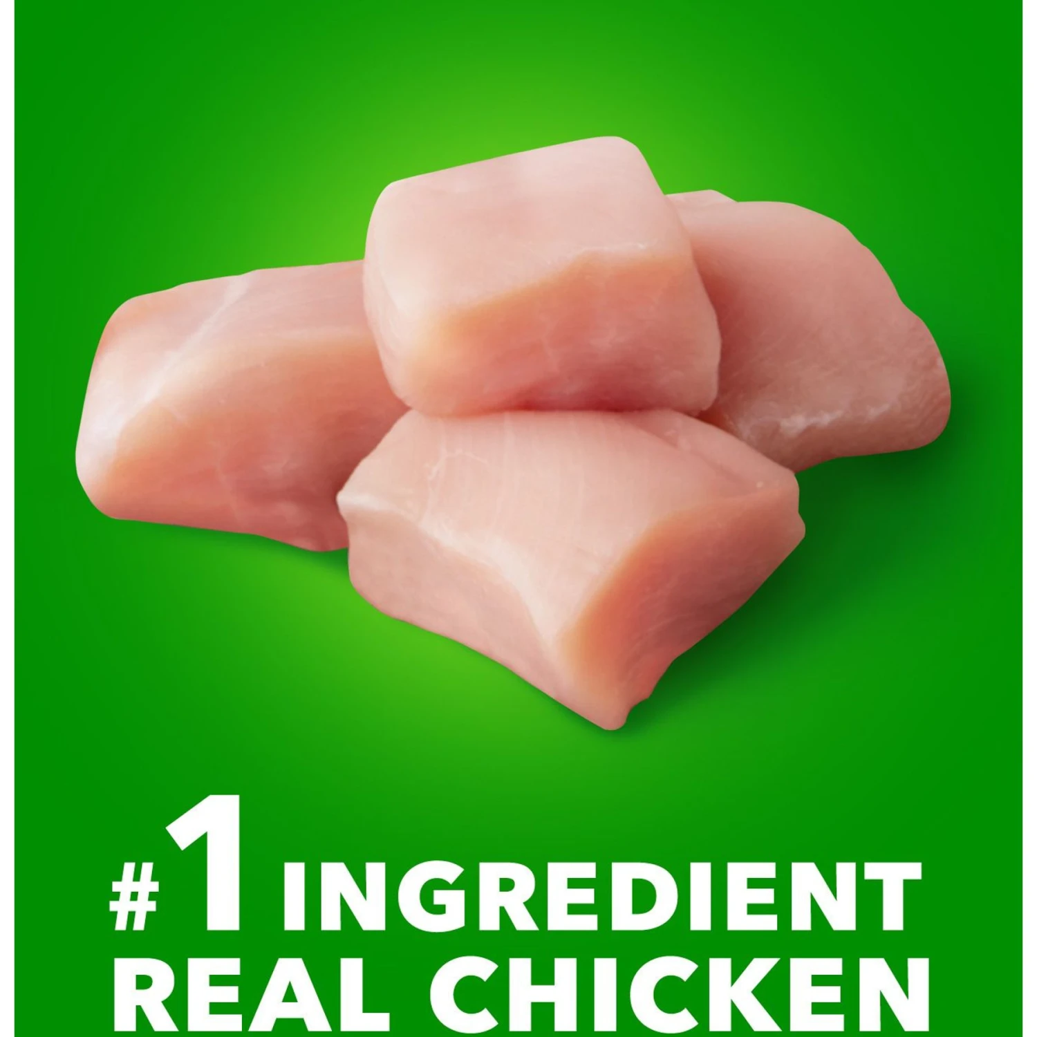 Iams Proactive Health Large Breed Puppy High Protein DHA Formula With Real Chicken Dry Dog Food 5 Iams Proactive Health Large Breed Puppy High Protein DHA Formula With Real Chicken Dry Dog Food - Image 3