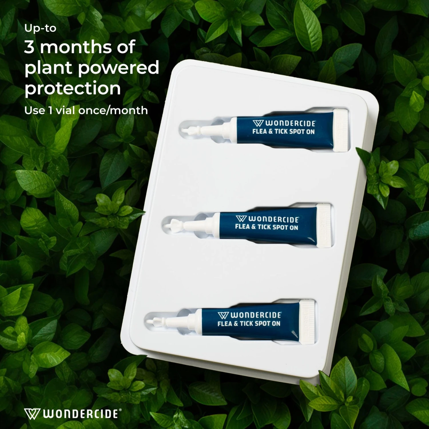 Wondercide Spot-On Peppermint Flea & Tick Spot Treatment For Small Dogs, 3 Doses (3-mos. Supply) 7 Wondercide Spot-On Peppermint Flea & Tick Spot Treatment For Small Dogs, 3 Doses (3-mos. Supply) - Image 5