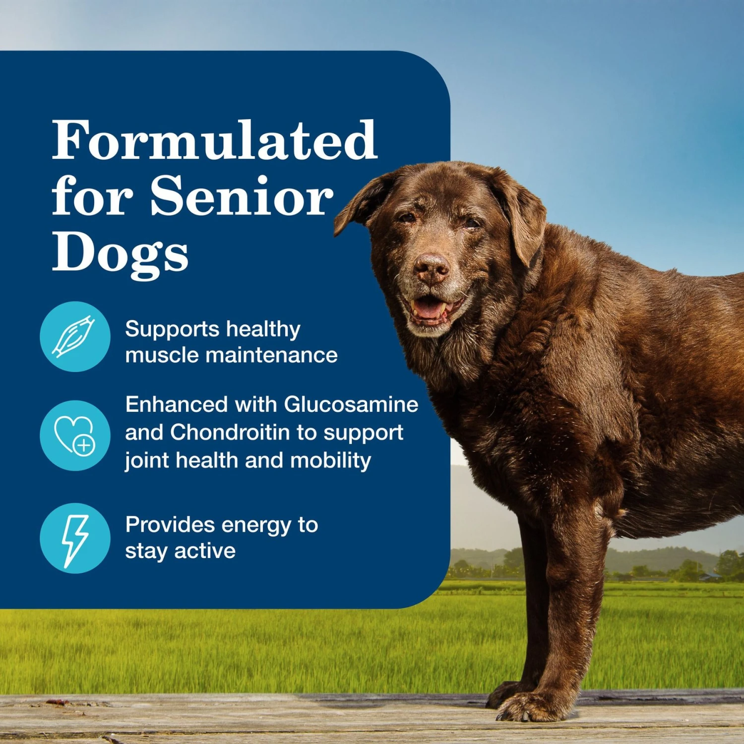 Blue Buffalo Homestyle Recipe Senior Chicken Dinner With Garden Vegetables Canned Dog Food 7 Blue Buffalo Homestyle Recipe Senior Chicken Dinner With Garden Vegetables Canned Dog Food - Image 5