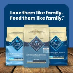 Blue Buffalo Life Protection Formula Small Bite Adult Chicken & Brown Rice Recipe Dry Dog Food -Snuggle Paws 64682 PT8. AC SS1800 V1636147627