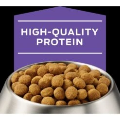 Purina Pro Plan Veterinary Diets DH Dental Health Dry Dog Food -Snuggle Paws 65049 PT3. AC SS1800 V1700158352