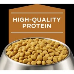 Purina Pro Plan Veterinary Diets NF Kidney Function Dry Dog Food -Snuggle Paws 65063 PT3. AC SS1800 V1700156710
