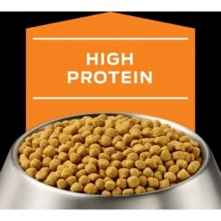 Purina Pro Plan Veterinary Diets OM Overweight Management Dry Dog Food 14 Purina Pro Plan Veterinary Diets OM Overweight Management Dry Dog Food -Snuggle Paws 65067 PT3. AC SS1800 V1700689236