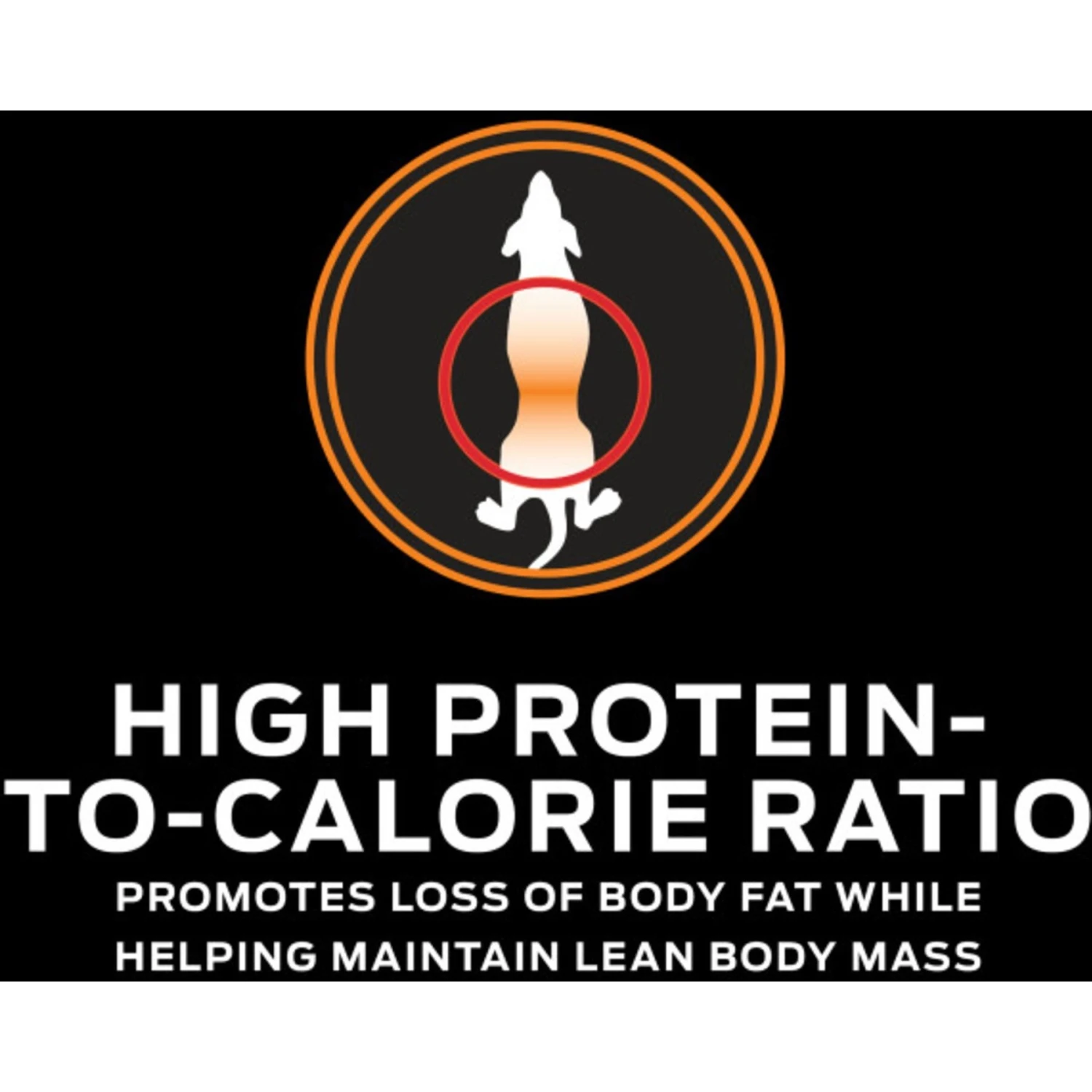 Purina Pro Plan Veterinary Diets OM Overweight Management Select Blend Chicken Flavor Dry Dog Food 9 Purina Pro Plan Veterinary Diets OM Overweight Management Select Blend Chicken Flavor Dry Dog Food - Image 7