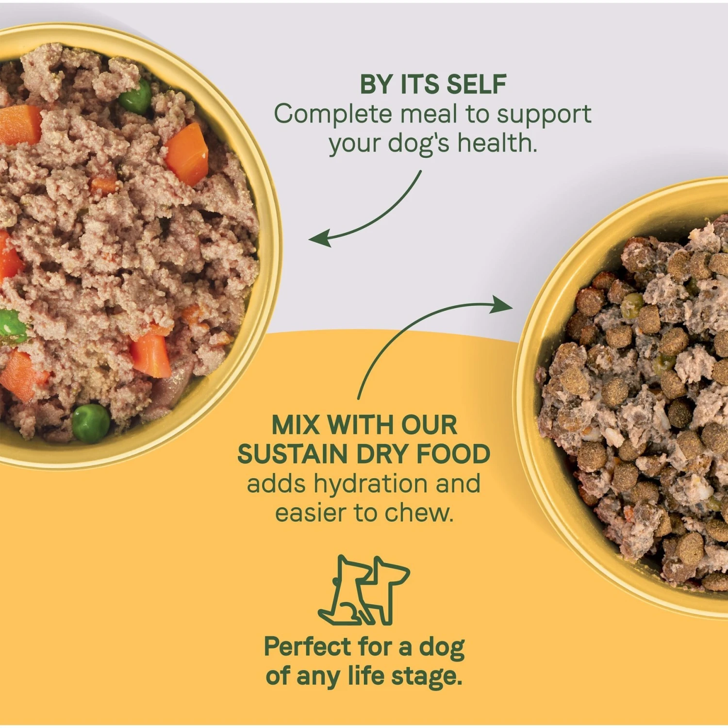 CANIDAE Sustain Wholesome Pates Premium Recipe With Cage-Free Chicken Dog Wet Dog Food 7 CANIDAE Sustain Wholesome Pates Premium Recipe With Cage-Free Chicken Dog Wet Dog Food - Image 5