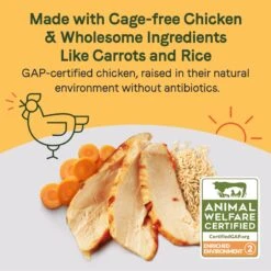 CANIDAE Sustain Bone Broth Toppers Premium Recipe With Cage-Free Chicken Dog Food Topper, 5.5-oz, Case Of 12 -Snuggle Paws 660534 PT2. AC SS1800 V1664554258