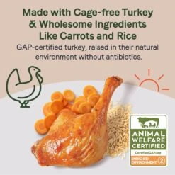CANIDAE Sustain Bone Broth Toppers Premium Recipe With Cage-Free Turkey Dog Food Topper, 5.5-oz, Case Of 12 -Snuggle Paws 660550 PT2. AC SS1800 V1664555121
