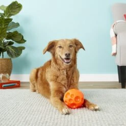 Omega Paw Tricky Treat Ball Dog Toy -Snuggle Paws 66289 PT3. AC SS1800 V1530911427