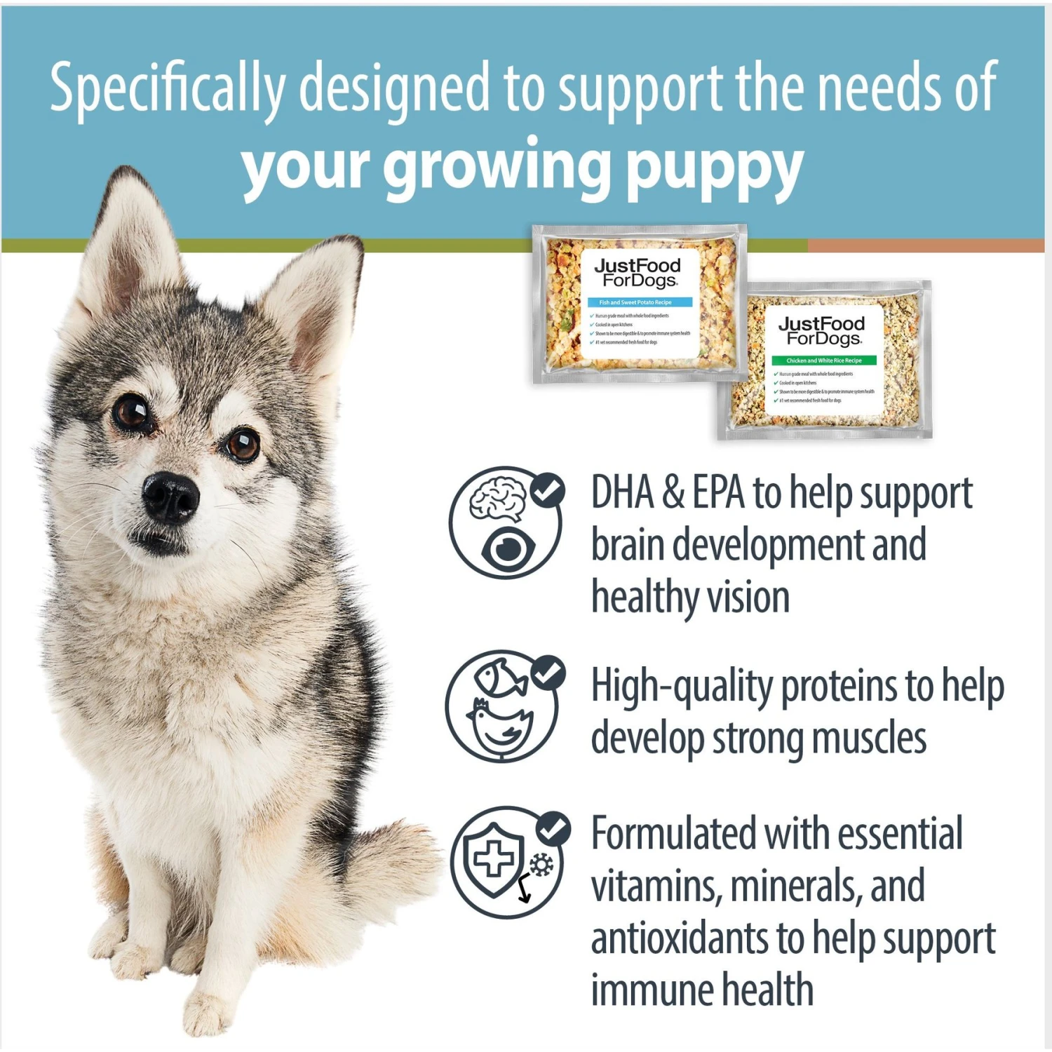 JustFoodForDogs Puppy Variety Pack Fish & Chicken Fresh Puppy Food, 18-oz Pouch, Case Of 7 6 JustFoodForDogs Puppy Variety Pack Fish & Chicken Fresh Puppy Food, 18-oz Pouch, Case Of 7 - Image 4