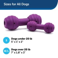 PetSafe Busy Buddy Chuckle Squeaky Treat Dispenser Dog Toy -Snuggle Paws 67197 PT1. AC SS1800 V1602337561