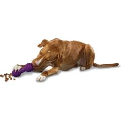 PetSafe Busy Buddy Chuckle Squeaky Treat Dispenser Dog Toy -Snuggle Paws 67197 PT2. AC SS1800 V1602314161