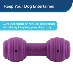 PetSafe Busy Buddy Chuckle Squeaky Treat Dispenser Dog Toy -Snuggle Paws 67197 PT3. AC SS1800 V1602303964