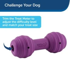 PetSafe Busy Buddy Chuckle Squeaky Treat Dispenser Dog Toy -Snuggle Paws 67197 PT6. AC SS1800 V1602292561