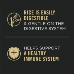 Purina Pro Plan Senior Beef & Rice Entree Canned Dog Food 14 Purina Pro Plan Senior Beef & Rice Entree Canned Dog Food -Snuggle Paws 67454 PT4. AC SS1800 V1689791277