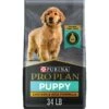 Purina Pro Plan High Protein Chicken & Rice Formula Dry Puppy Food -Snuggle Paws 67481 MAIN. AC SS1800 V1683569758