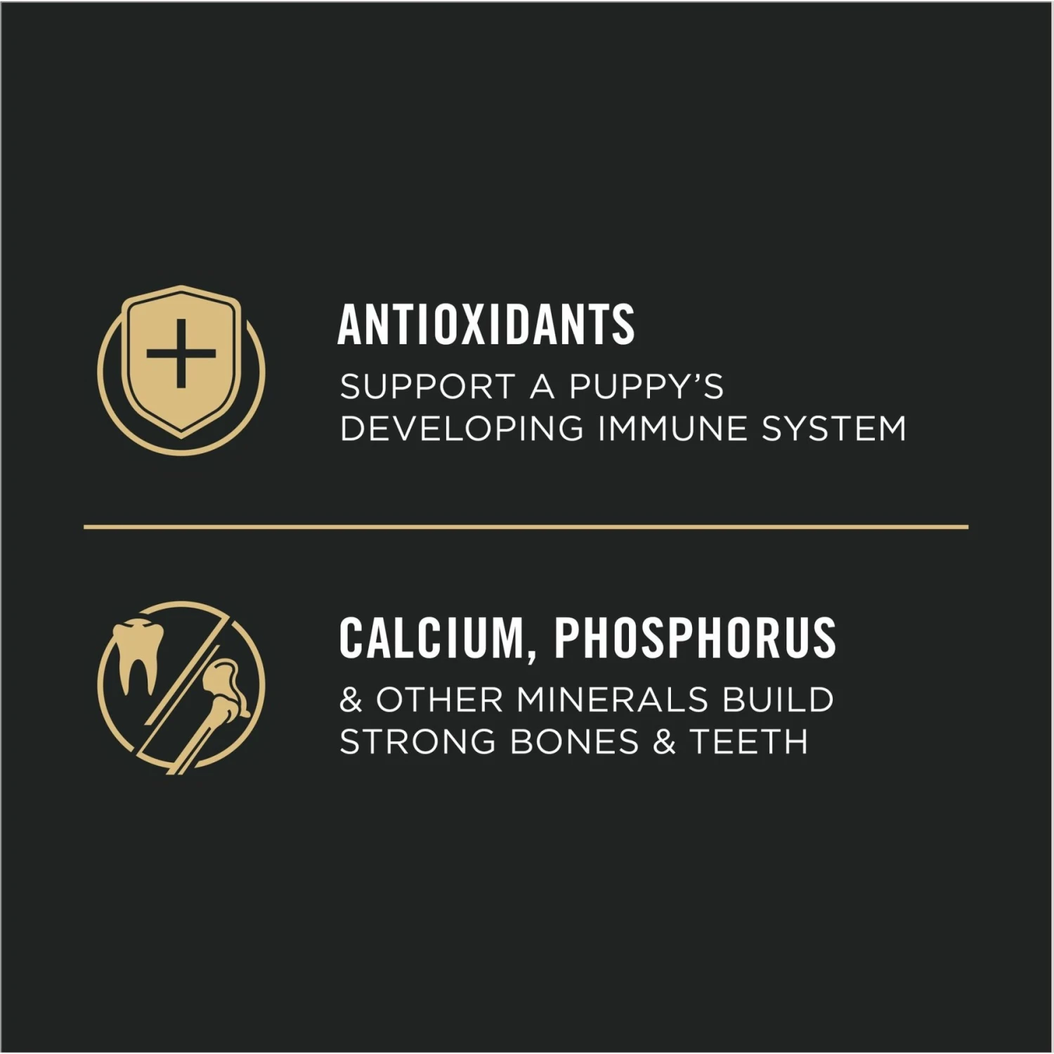 Purina Pro Plan High Protein Chicken & Rice Formula Dry Puppy Food 7 Purina Pro Plan High Protein Chicken & Rice Formula Dry Puppy Food - Image 5