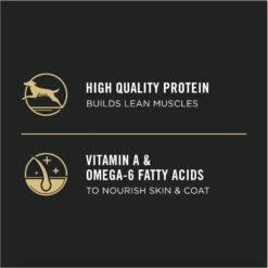 Purina Pro Plan High Protein Chicken & Rice Formula Dry Puppy Food 17 Purina Pro Plan High Protein Chicken & Rice Formula Dry Puppy Food -Snuggle Paws 67481 PT6. AC SS1800 V1683575123